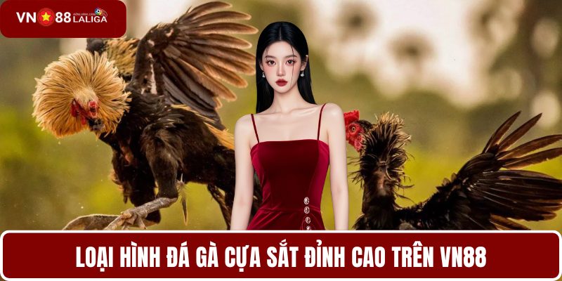 Loại hình đá gà cựa sắt đỉnh cao trên VN88