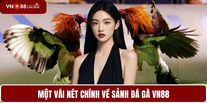 Một vài nét chính về sảnh đá gà VN88