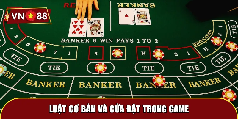Luật cơ bản và cửa đặt trong game